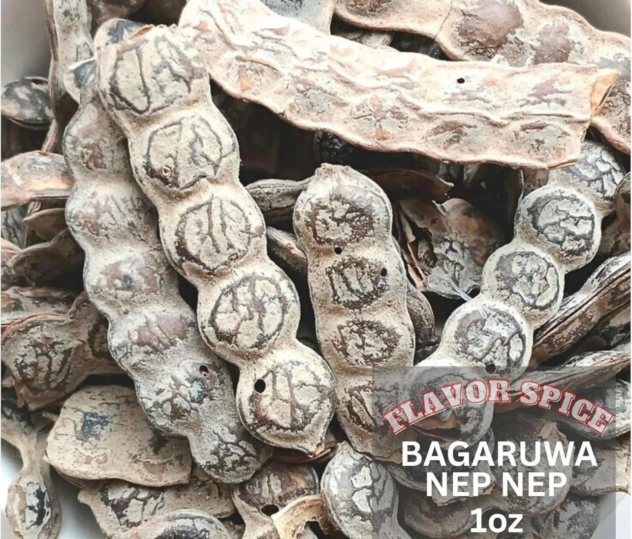 Nep Nep Acacia Nilotica Spice Seed